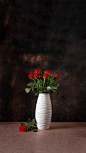 红玫瑰的花语是热恋，它是情人节绝佳的选择，你的爱人一定会喜欢一束红玫瑰。