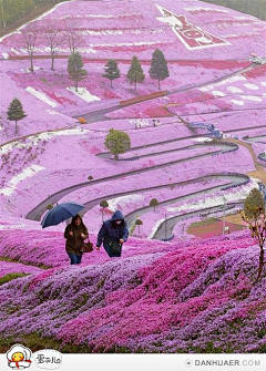 J大马哈鱼采集到道路/path