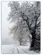 Winter Country Road by Mirella Cotella on 500px