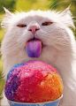 Yummy i like ice cream | Kitty♀