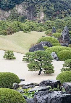 阴雨菊采集到景观