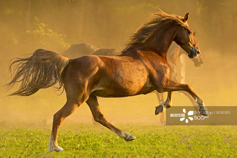 0d0008c7592fdc9ae3d08742e39c5e0f177d1dff2520f-H8ZVJP