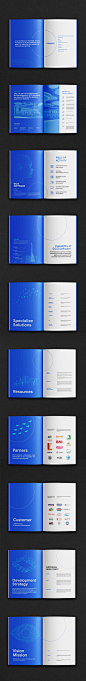 profile software brochure magazine profile design company profile Corporate Profile graphic design  profilecompany Vietnam design