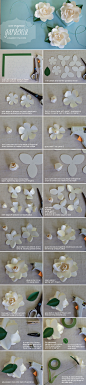 Paper Gardenia Tutorial