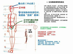 小雅哇哇采集到*画—手绘教程*