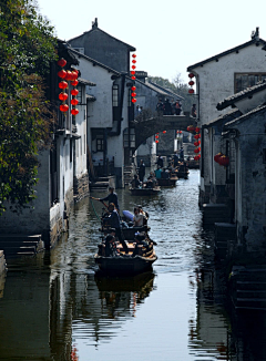 午夜风的花瓣采集到《美图美景》