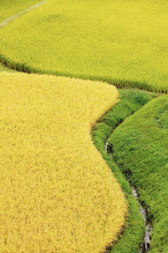 天琪正不二家采集到风景