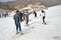 作业贴2月3日天龙池滑雪泡温泉[鲁山]