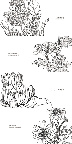 AD钙奶营养多采集到插画-线稿