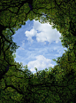 Low angle view of sky and tree canopy by Gable Denims on 500px