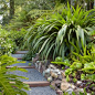 Photo of a mid-sized tropical shade backyard gravel garden path in San Francisco.