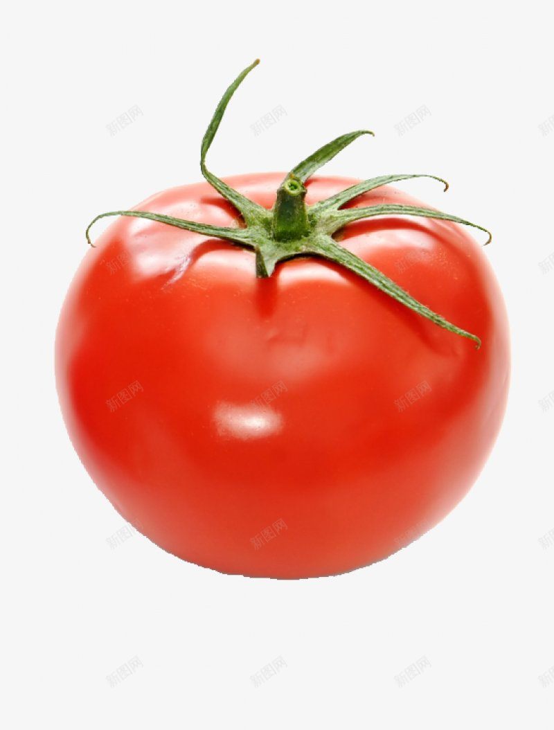 0d4e6debba431b26b669b5dcb83e9d081dd6d207b174-LgIENy