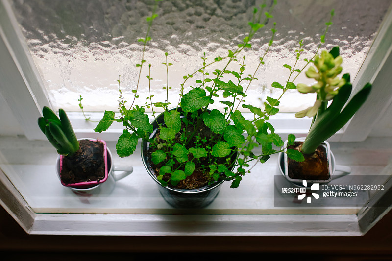 0d4f63d93ab319835035762a42054f79e31110ed274a6-IqmBqX