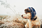 Dog with cap in winter by Jaromír Chalabala on 500px