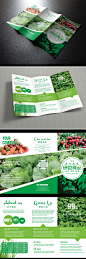 时尚绿色有机健康食品超市果蔬店创意三折页