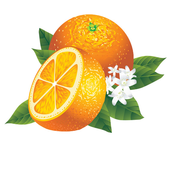 0d7272448055bc809da4f0012e03296210df37a23be0f-QrRCPa