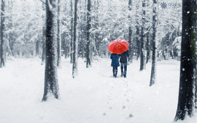 宁静的雪