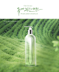 【源文件可下载】韩国美妆绿色仙人掌热带植物化妆品护肤品促销海报PSD设计素材图