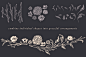 燕窝甜品花卉背景插画包装肌理复古手绘插图AI设计素材 (3)
