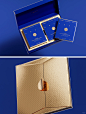 原创 _ 茶品牌高端包装设计 (2)