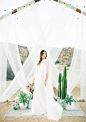 Desert wedding ceremony backdrop with white fabric and cactus