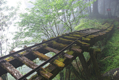 齐烟九点采集到风景