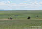 一代天骄蒙古族风情：蓝天白云下的巴尔虎蒙古部落景区实拍——内蒙古11, 行摄千里旅游攻略