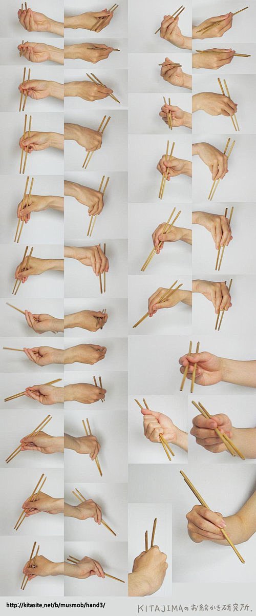 #绘画参考# 拿筷子手势练习。|ω･`)...