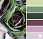 nature palette