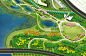 城市滨水生态湿地公园-带状湿地景观绿化带PSD平面图_PSD彩平_ZOSCAPE-园林景观设计意向图库|园林景观学习网 - 景观规划意向图