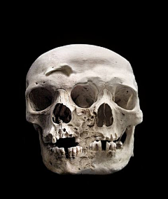 丨啦啦啦丨采集到素材】骨骼人体暗黑畸形