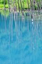 蓝色池塘，北海道 