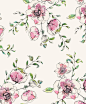 Orchard Blossom Pink | Hackney & Co