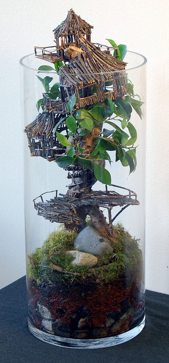 Tree house terrarium...