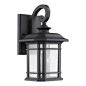 Chloe Lighting - Franklin 1-Light Outdoor Wall Sconce, Black - Outdoor Wall Lights And Sconces