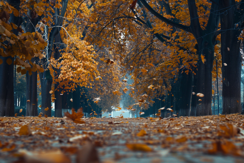 0e24dfdeacb7676262e39c64e7b7236e4b12f98a14ce2c-xqJUiW