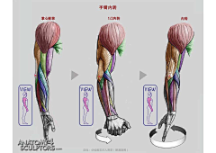 蟑螂王采集到人体动作