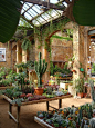 This Morning I went to Paradise - Plants Hivernacle Garden Center Barcelona