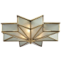 Frosted Glass Star Ceiling Light 21': 