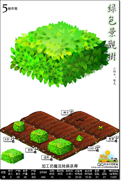 Vulpes12138采集到植物