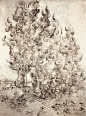 Cypresses - Vincent van Gogh