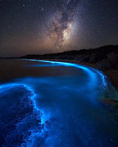 海绵-派大采集到夜空