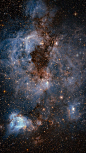由哈勃太空望远镜拍摄的大麦哲伦星云 (© ESA/Hubble/NASA)

2020-04-24

 3849