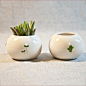 zakka 杂货 日本大创陶瓷小花瓶 小植物花盆 多肉植物皿 水培容器
