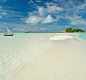 蜜月 Océan Indien, Cocoa Island, Maldives