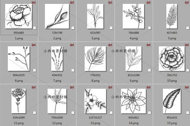 植物花卉黑白线稿装饰边框素描简笔画AI矢...