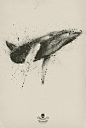 Ink Blot whale. Possible tattoo design?: 