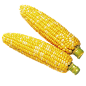 玉米(658×658)