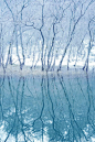Blue pond in Biei, Hokkaido, Japan。日本北海道上川郡美瑛町的青池。青池是1988年十胜岳火山爆发，因工程修筑堰堤而形成的湖泊，美瑛川中的矿物质和土砂质成份和阳光照耀，使得湖泊呈现出青绿色的色泽，白桦树的枯木更增添几许诗意。每当清晨到来，在阳光的照射下，青池的池水反射出如同经典Tiffany蓝的颜色，整个池面如画布一般，美得令人惊叹。