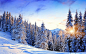 冬日里的唯美雪景摄影艺术